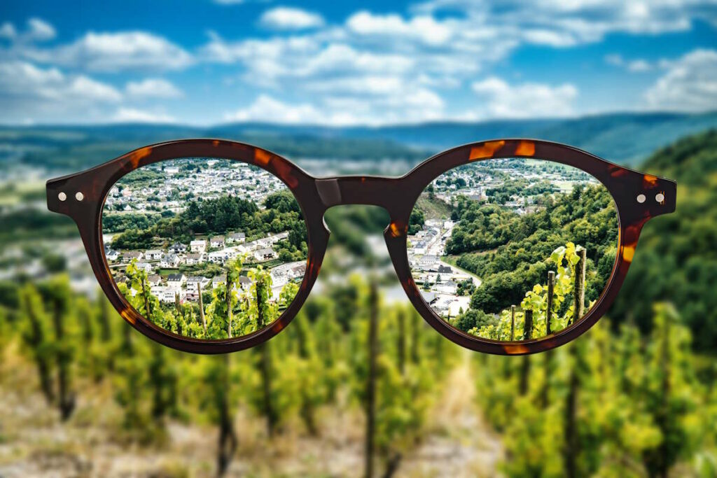 Eye glasses against ametropia sharp panorama view over the Moselle valley without of focus photo parts. View of the Moselle valley near Traben-Trarbach with vines in the foreground.